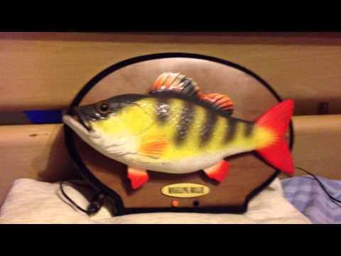 Wiggling Willie Singender Fisch Angler Billy Bass Variante 2 Songs Dekoration